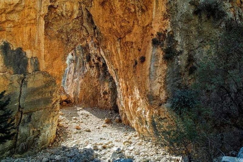 From Chania: Imbros Gorge and Sfakia Experience Hike & Swim - Who Will Love This Tour?