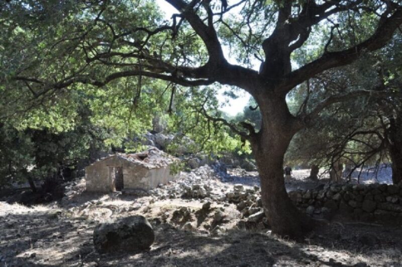 From Chania: Imbros Gorge Guided Hike and Village Visit - Key Points