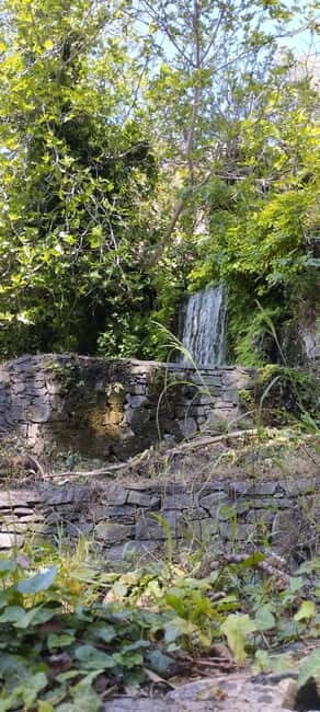From Chania: Lake Kournas & Argiroupoli Springs Guided Tour - From Chania: Lake Kournas & Argiroupoli Springs Guided Tour Review