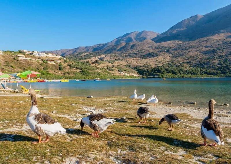 From Chania: Lake Kournas & Argiroupoli Springs Guided Tour - An In-Depth Look at the Lake Kournas & Argiroupoli Springs Guided Tour
