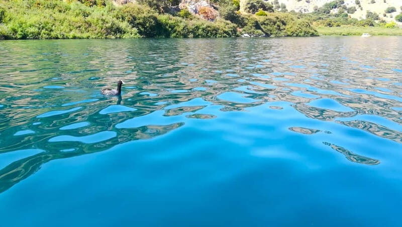 From Chania: Lake Kournas & Argiroupoli Springs Guided Tour - Frequently Asked Questions