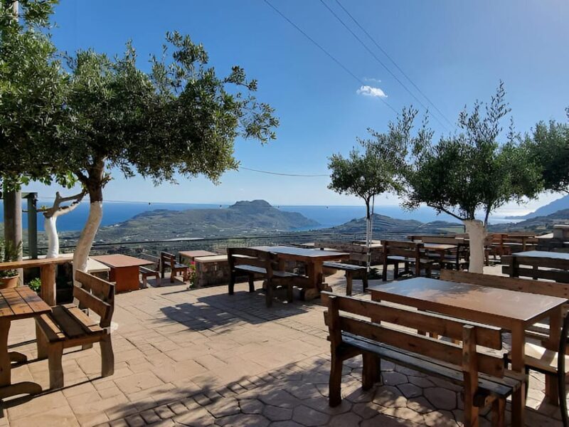 From Chania: Preveli Palm Beach and Kourtaliotis Waterfalls - Why This Tour Offers Great Value