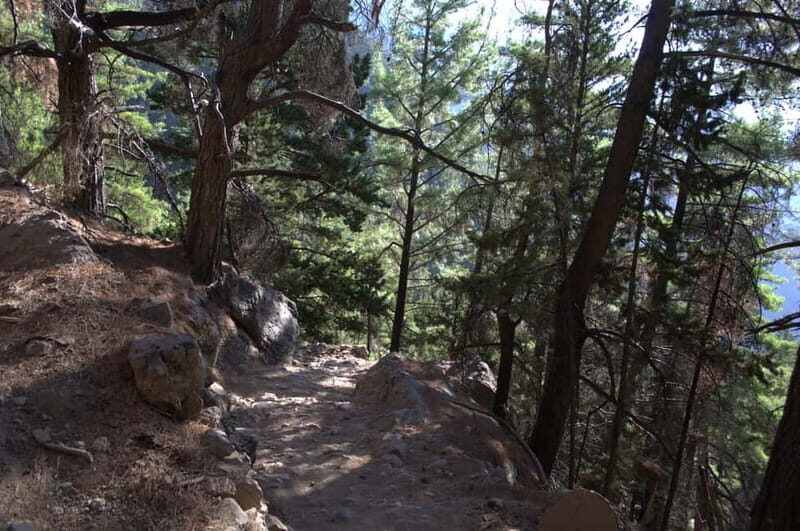 From Chania: Samaria Gorge Hike with Local Mountain Guide - Who Will Enjoy This Tour?