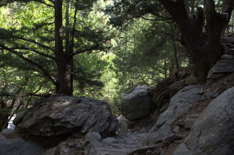 From Chania: Samaria Gorge Hike with Local Mountain Guide - FAQ