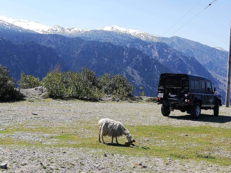 From Chania: White Mountains Land Rover Safari - The Experience of Guides and Local Insights