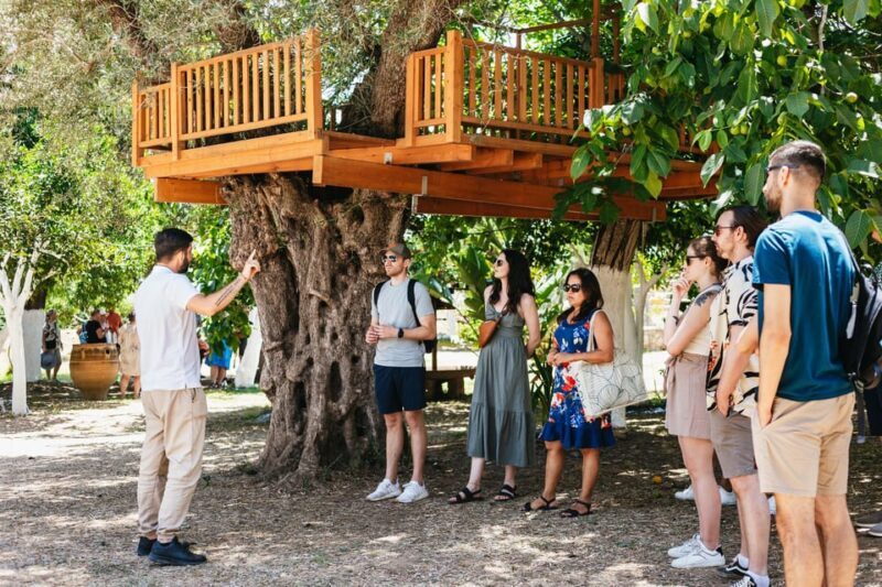 From Chania: Wine and Olive Oil Tasting Tour with Snacks - A Deep Dive Into the Crete Wine & Olive Oil Tour