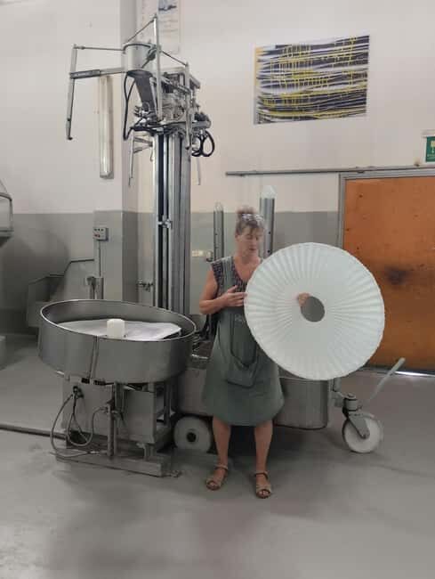 From Chania: Wine, Honey & Olive Oil Private Tour - Exploring Cretes Culinary Heritage: A Private Tour of Wine, Honey, and Olive Oil from Chania