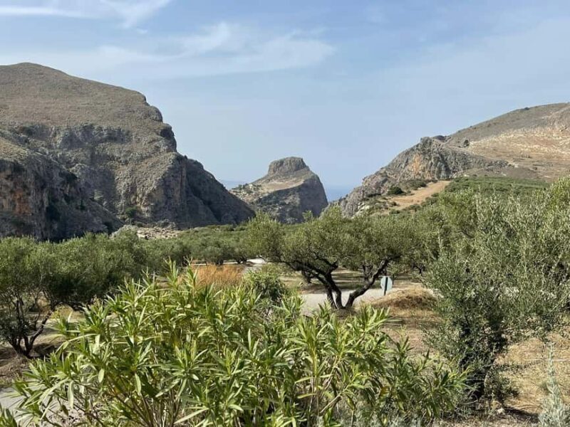 From Chania: Wine, Honey & Olive Oil Private Tour - Practical Details and What to Expect