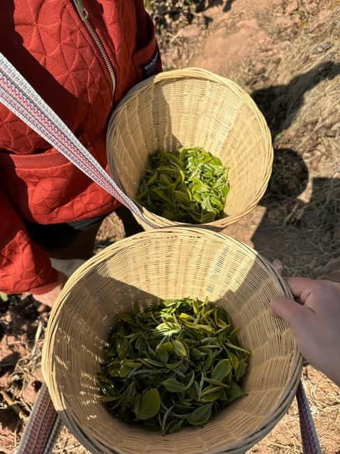 From Chengdu: Tea Garden, Bamboo Weaving & Ancient Town Tour - An Authentic Taste of Sichuan: Tea, Bamboo, and Ancient Towns
