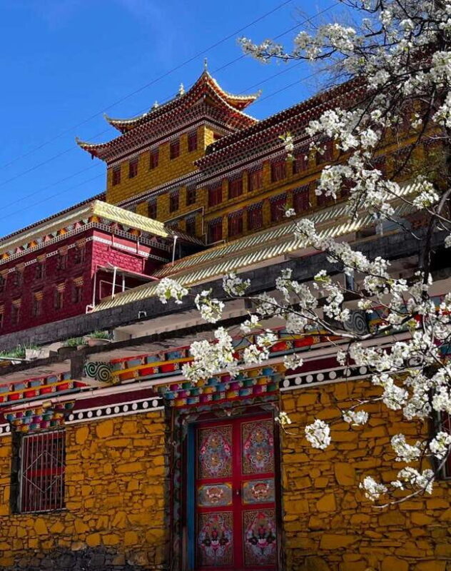 From Chengdu: Tibetan Village Live as a Tibetan Day Tour - FAQ