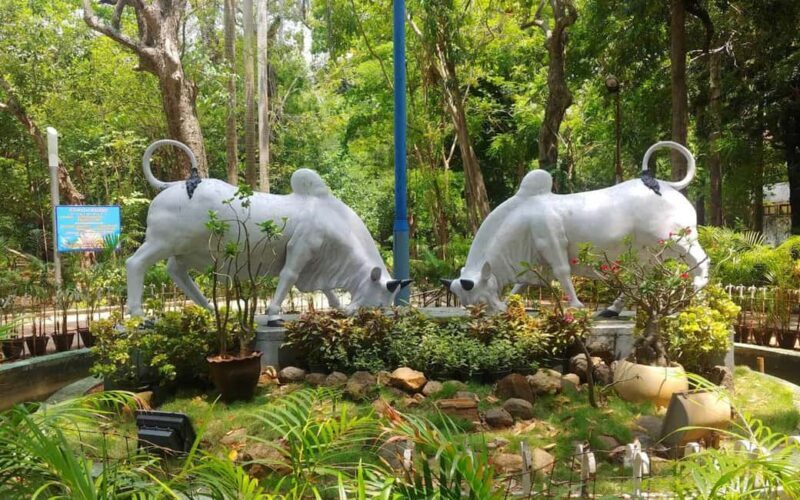 From Chennai: Private Pondicherry & Auroville Day Tour - An In-Depth Look at the Experience