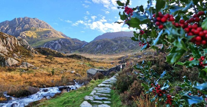 From Chester: North Wales and Caernarfon Castle Tour - From Chester: North Wales and Caernarfon Castle Tour — A Full Day of Scenic Beauty and Historic Wonder