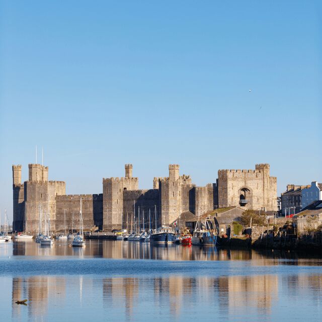 From Chester: North Wales and Caernarfon Castle Tour - Who Is This Tour Best Suited For?