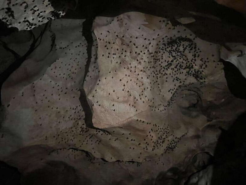 From Chiang Mai: Chiang Dao Cave & 5 Hill Tribe Villages - FAQs