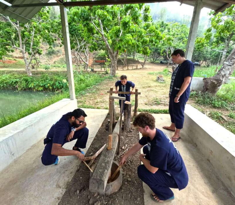 From Chiang Mai: Chiang Mai Elephant Care Morning Program - Frequently Asked Questions (FAQs)