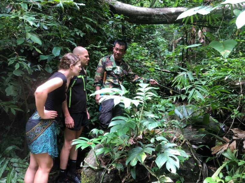 From Chiang Mai: Doi Saket Hiking Tour with Lunch - Discover the Doi Saket Hiking Tour from Chiang Mai: An Authentic Jungle Adventure