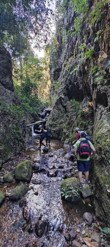 From Chiang Mai: Doi Saket Hiking Tour with Lunch - Why This Tour Stands Out (and Why It’s Not for Everyone)