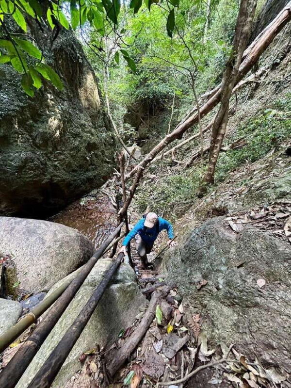From Chiang Mai: Doi Saket Hiking Tour with Lunch - Who Should Consider This Tour?