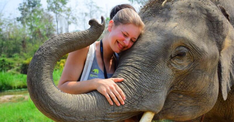 From Chiang Mai: Elephant Care Program and Nursery Tour - A Detailed Look at the Experience