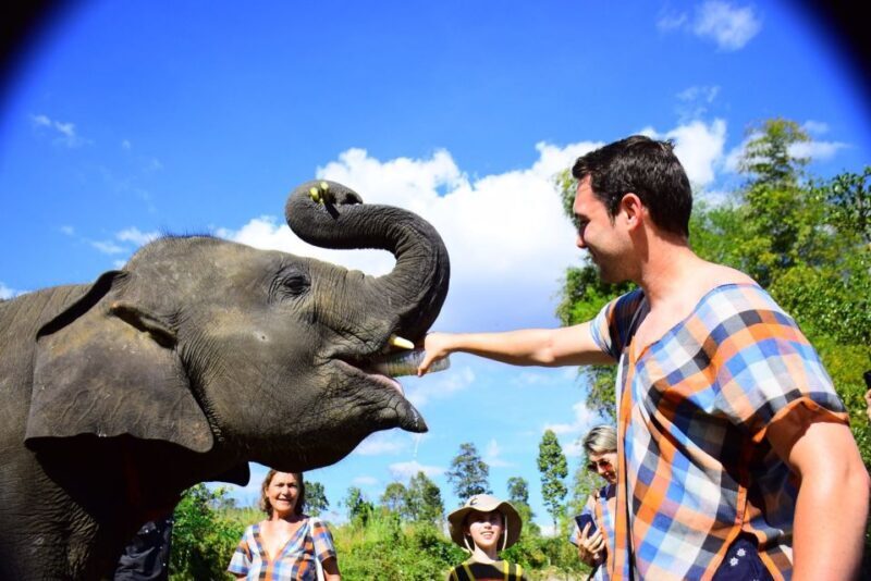 From Chiang Mai: Elephant Care Program and Nursery Tour - What Sets It Apart?