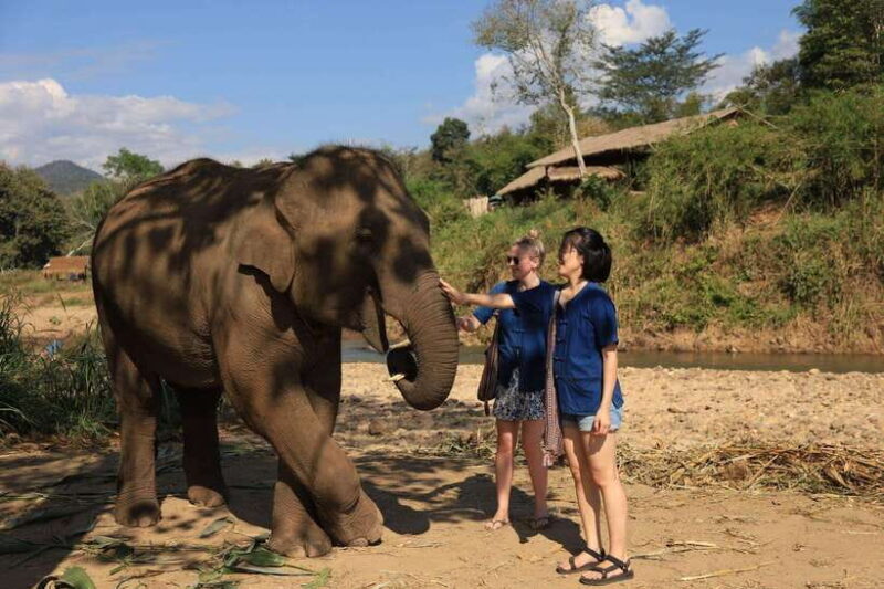 From Chiang Mai: Living Green Elephant Sanctuary Tour - Frequently Asked Questions