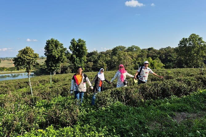 From Chiang Rai: 7 wonder Full-Day Tour and Thai Buffet lunch - Overall Experience