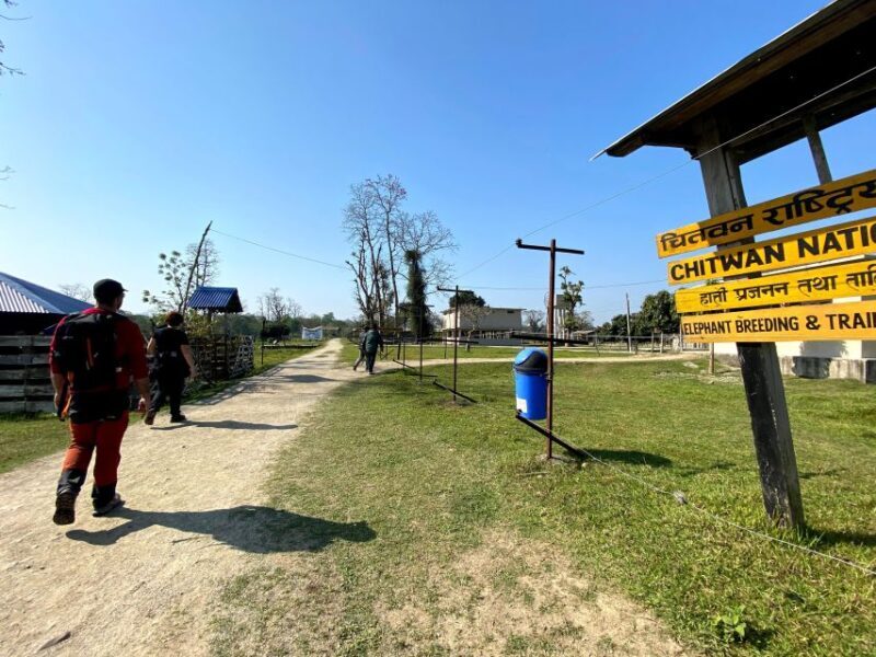 From Chitwan : Jeep Safari,Canoeing,Forest walk Day Tour - What Makes This Tour Stand Out