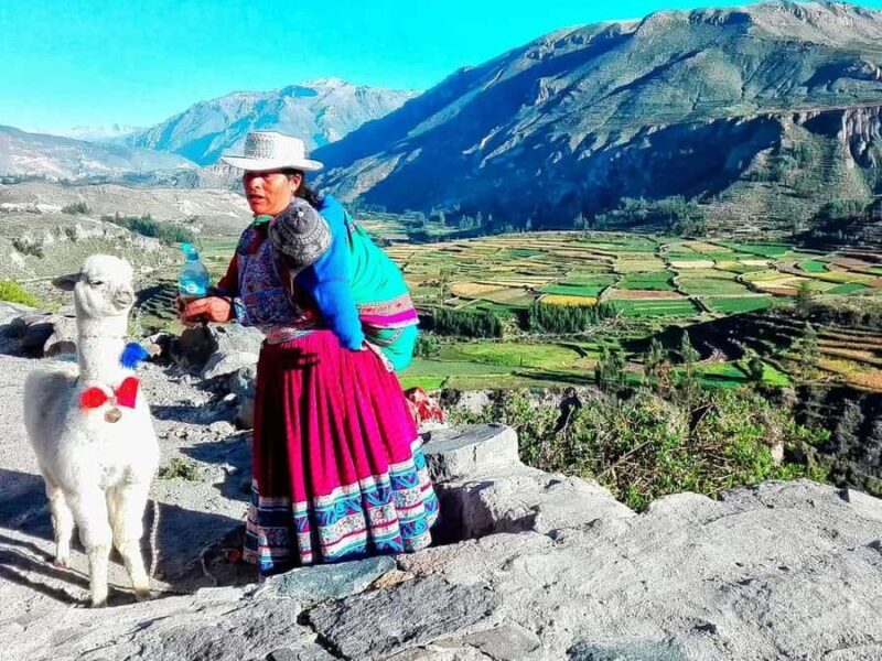 From Chivay - Colca : Chivay - Puno Route - FAQs