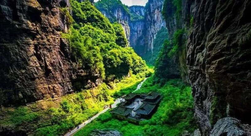 From Chongqing: 7-Day Tour with Wulong, Dazu and Chengdu - Key Points