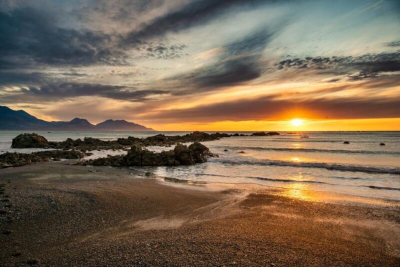 From Christchurch: Kaikura Day Tour With Dolphin Encounter - Exploring Kaikoura from Christchurch: A Full-Day Adventure with Dolphins and Scenic Beauty
