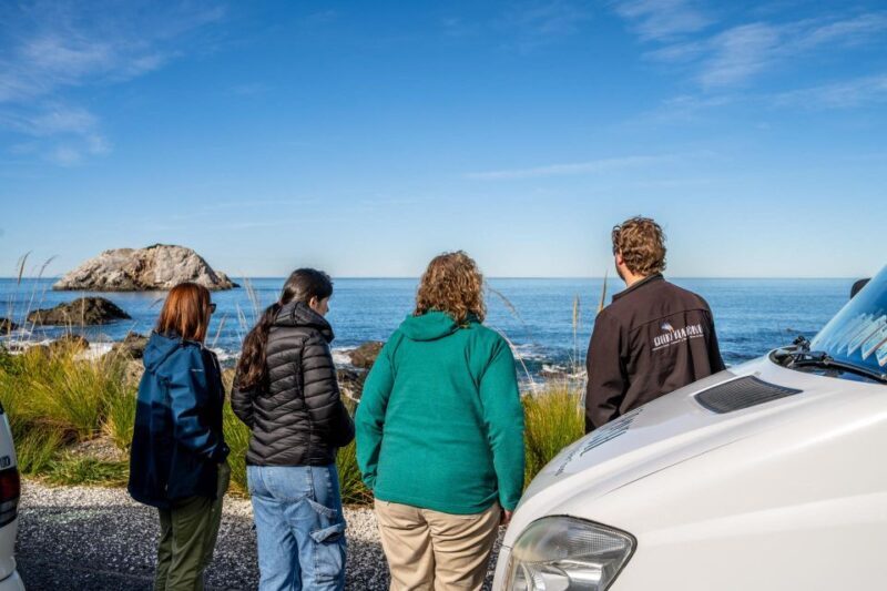 From Christchurch: Kaikura Day Tour With Dolphin Encounter - The Realities: Pros and Cons