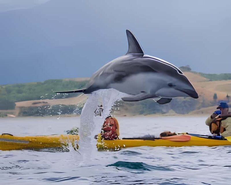 From Christchurch: Private Kaikoura Tour with Guide - Analyzing the Value