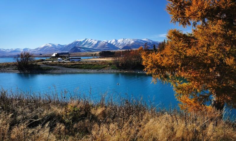From Christchurch: Queenstown via Tekapo & Mt Cook Day Trip - Key Points