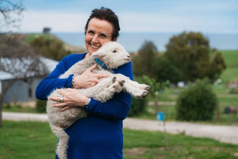 From Christchurch: Sheep Farm Day Trip with Lunch & Winery - An In-Depth Look at the Tour Experience