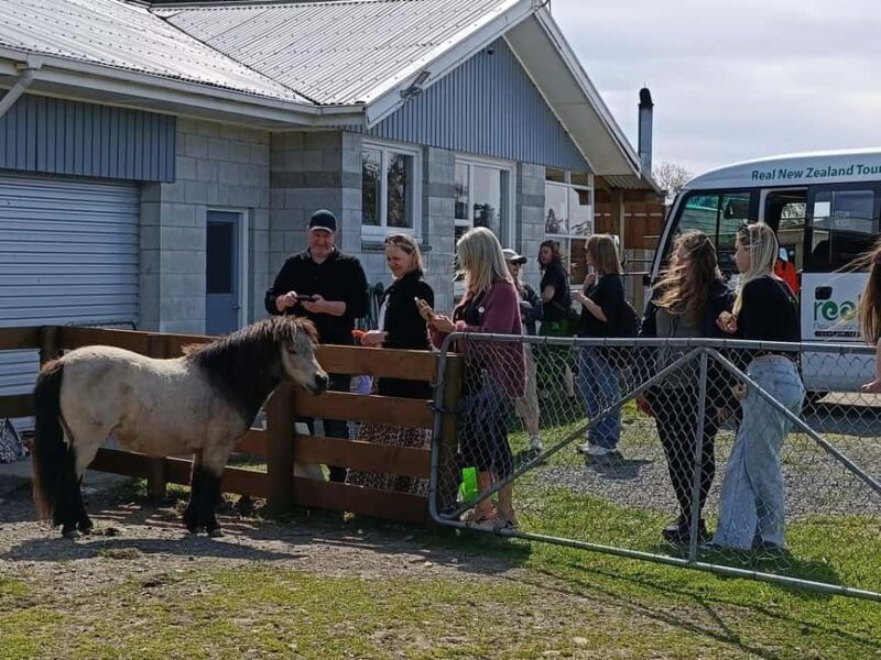 From Christchurch: Sheep Farm Day Trip with Lunch & Winery - How This Tour Offers Value