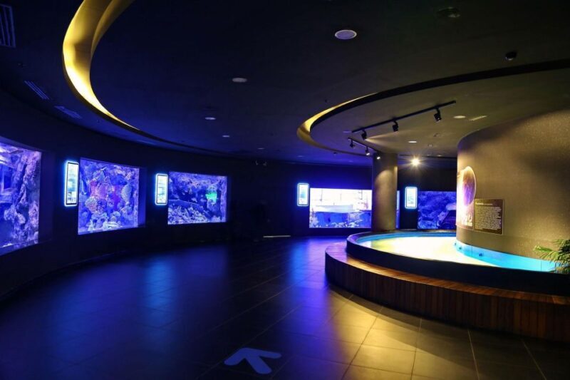 From city of Side: Antalya Aquarium Full-Day Trip - Exploring the Antalya Aquarium Full-Day Trip: What to Expect and Why It Matters