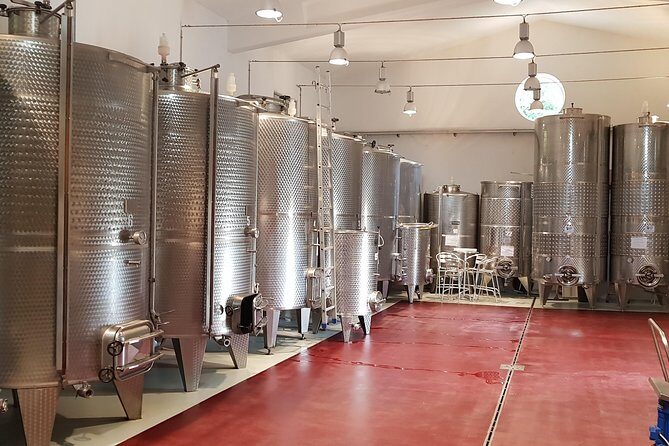 From Civitavecchia: Tuscany-Latium Wine Tour with Tastings - Final Thoughts