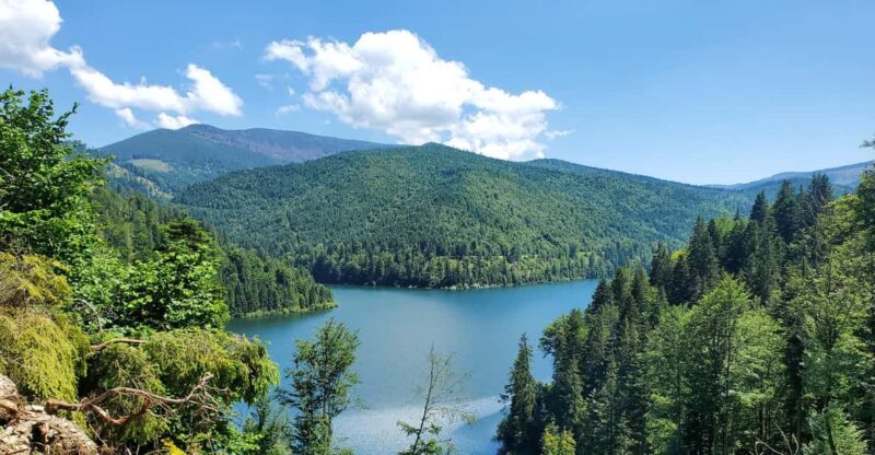From Cluj: Mountain Bike around Lake Dragan - From Cluj: Mountain Bike around Lake Dragan
