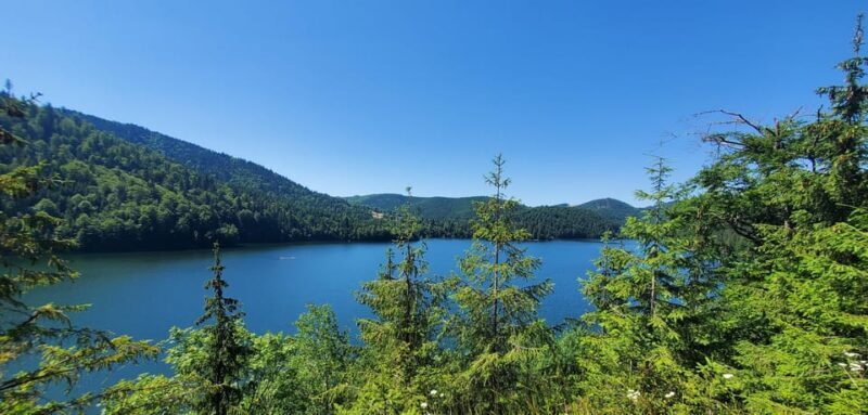 From Cluj: Mountain Bike around Lake Dragan - Who Should Consider This Tour?