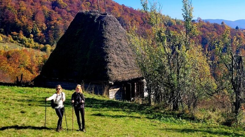 From Cluj-Napoca: Apuseni Mountains Hiking Guided Day Tour - Reaching Scarita Peak