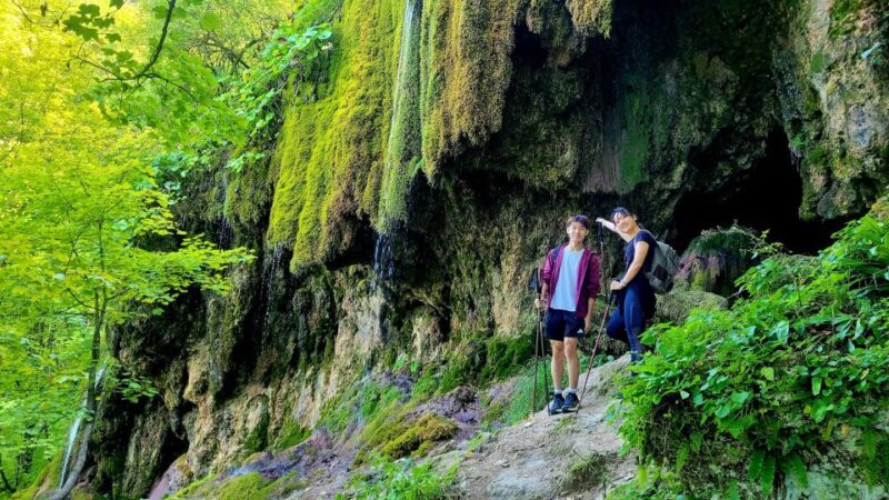 From Cluj-Napoca: Apuseni Mountains Hiking Guided Day Tour - Optional Waterfall Visit