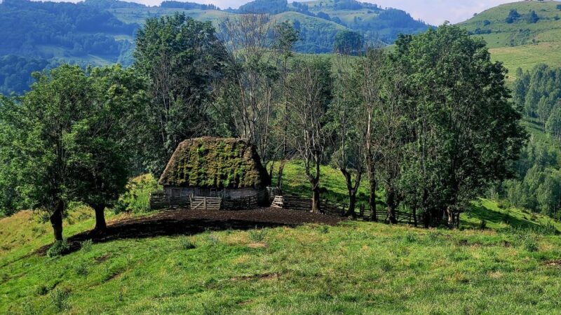 From Cluj-Napoca: Apuseni Mountains Hiking Guided Day Tour - Practicalities and Value