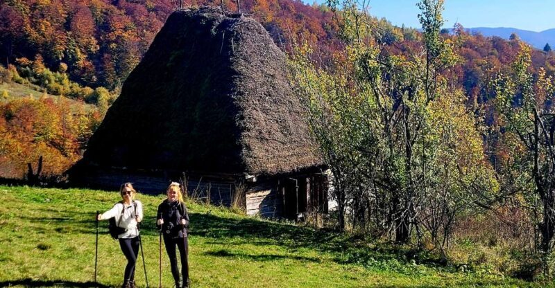 From Cluj-Napoca: Apuseni Mountains Hiking Guided Day Tour - Authentic, Uncrowded Nature