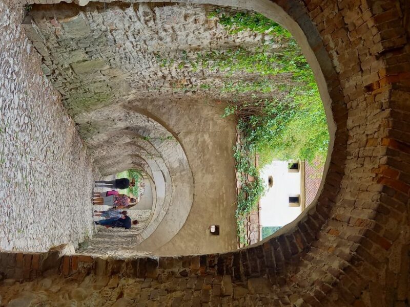 From Cluj: Sighioara and Church of Biertan Guided Tour - Detailed Breakdown of the Itinerary