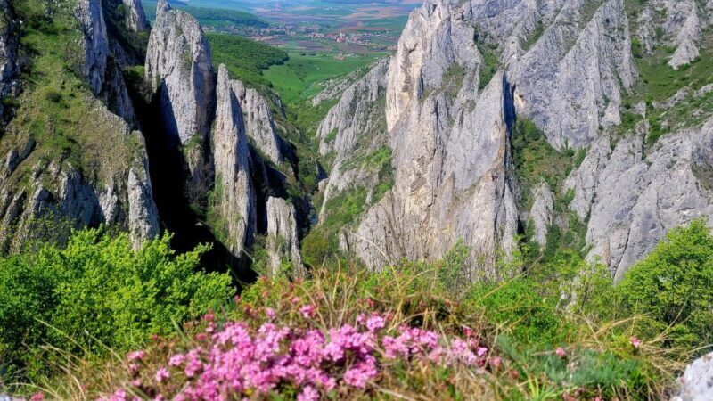 From Cluj: Turda Salt Mine, Gorge, and Remetea Full-Day Trip - Who Will Love This Tour?