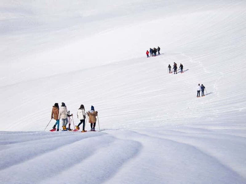 From Cluj: Winter Walking Trip on the Great Mountain - An Authentic Winter Escape in the Carpathians