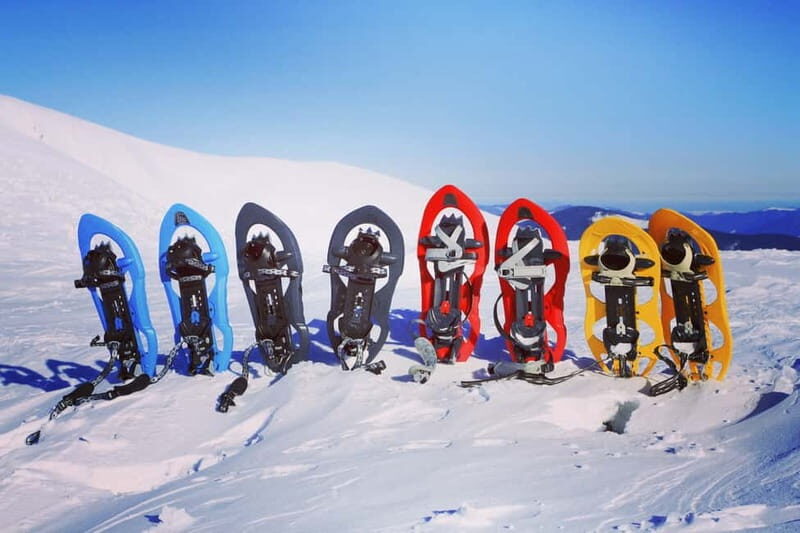 From Cluj: Winter Walking Trip on the Great Mountain - Authentic Insights from Past Travelers