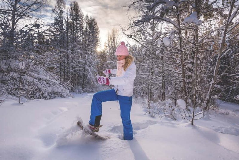 From Cluj: Winter Walking Trip on the Great Mountain - Why This Tour Offers Great Value