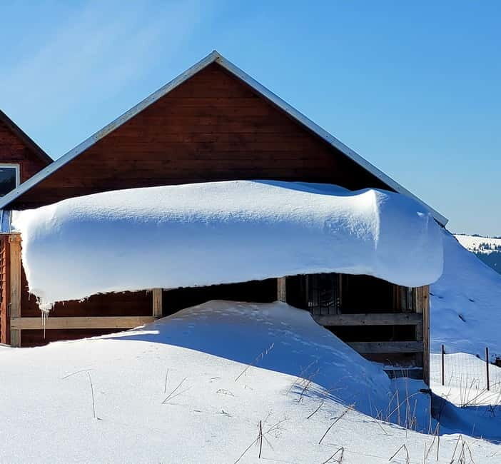 From Cluj: Winter Walking Trip on the Great Mountain - The Sum Up