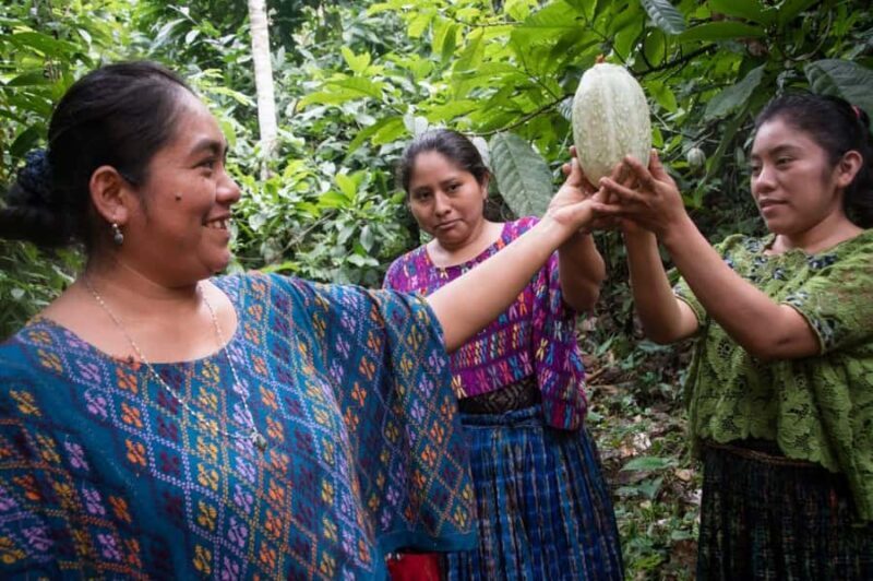 From Cobán: Semuc Champey and cacao tour - The Sum Up